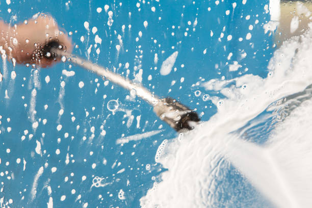 Animal Enclosure Cleaning in Chamblee, GA